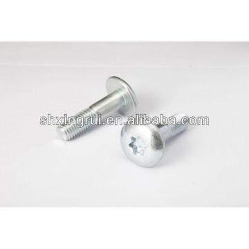 non-standard TORX button head screws